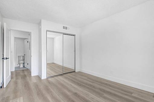 A room with a toilet and a walk-in closet.