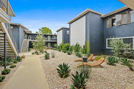 A modern courtyard with a concrete pathway and a variety of plants.