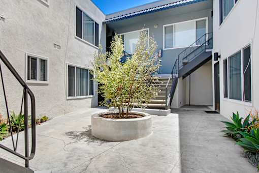 A small tree in a pot sits in the middle of a courtyard.