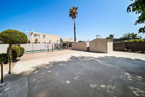 A courtyard with a palm tree and a building in the background.