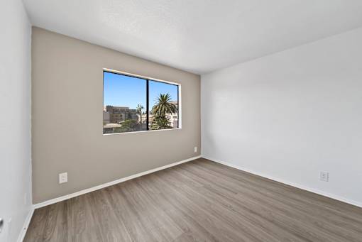 Empty room with a window showing a palm tree outside.