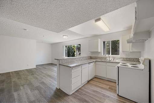 A kitchen with white cabinets and a granite countertop.