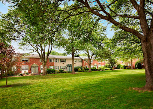 A tree in a grassy area in front of a building at Rivercrest Apartments, Piscataway , NJ