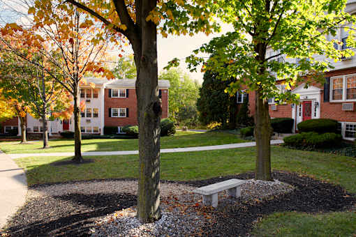 A tree with a bench underneath it in the foreground with a building in the background at Kings Gate West Apartments, Camillus, New York