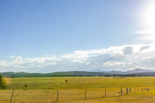 a view of a field with mountains in the background  at Antelope Ridge, Box Elder, SD, 57719
