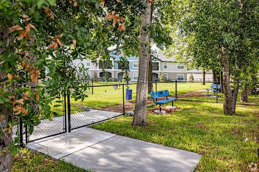 Dog Park