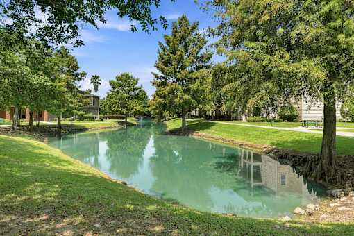 A serene park with a pond and trees.