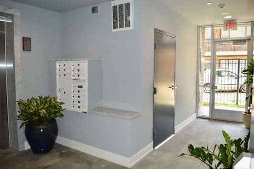 A room with a grey door, a white panel with holes, and a plant in a blue pot.