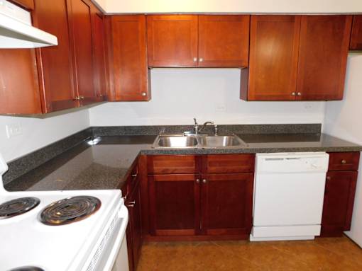 A kitchen with a white stove and a white dishwasher.