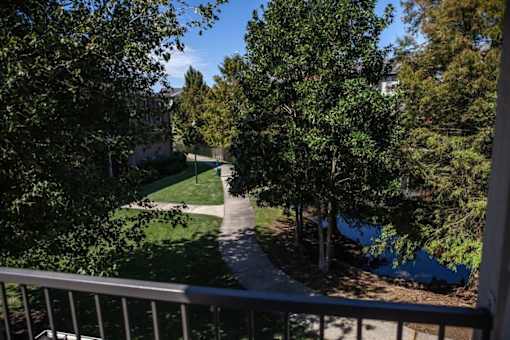 A view from a balcony looking down at a tree-lined path.