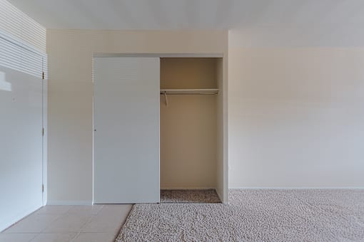 A white closet with a shelf and a carpet on the floor.