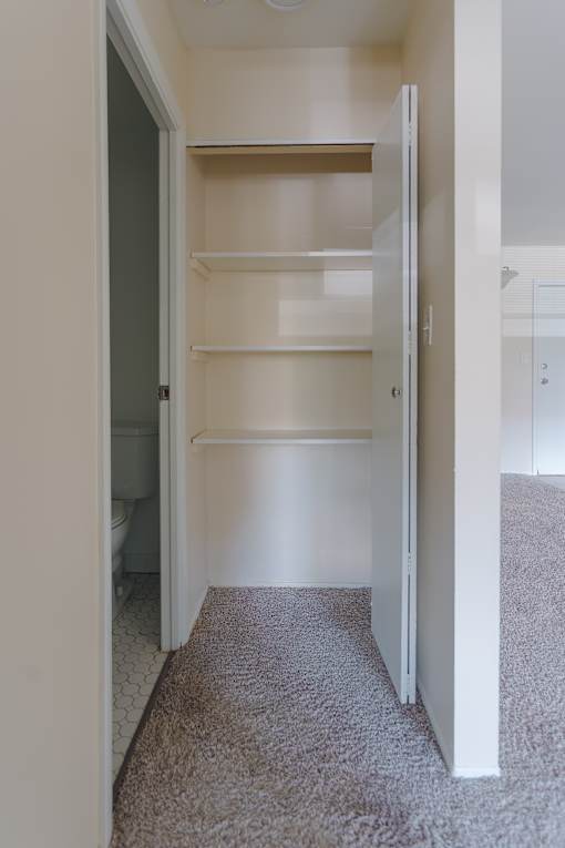 A white closet with a carpeted floor and shelves.