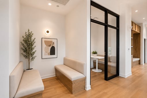 A white room with a bench and a tree.