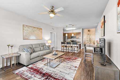 A living room with a grey couch and a red rug.