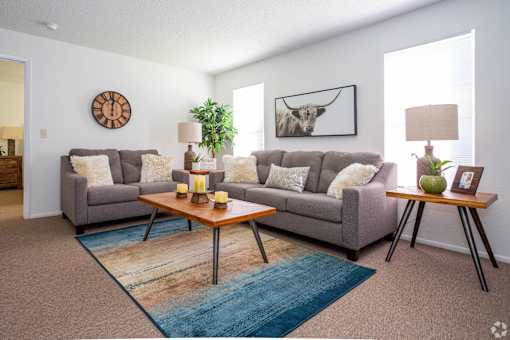 A living room with a grey couch, a wooden coffee table, and a blue rug.