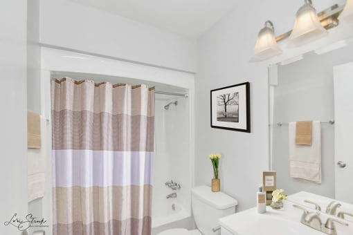 Interior picture, bathroom