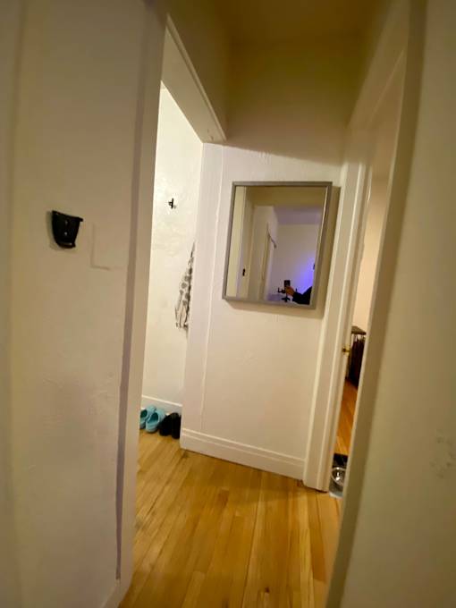 A hallway with a mirror and a black object on the wall.