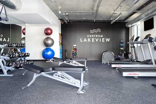 A gym with a variety of equipment including treadmills, weights, and exercise balls.