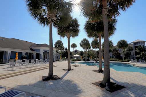 A pool surrounded by palm trees and sun loungers.
