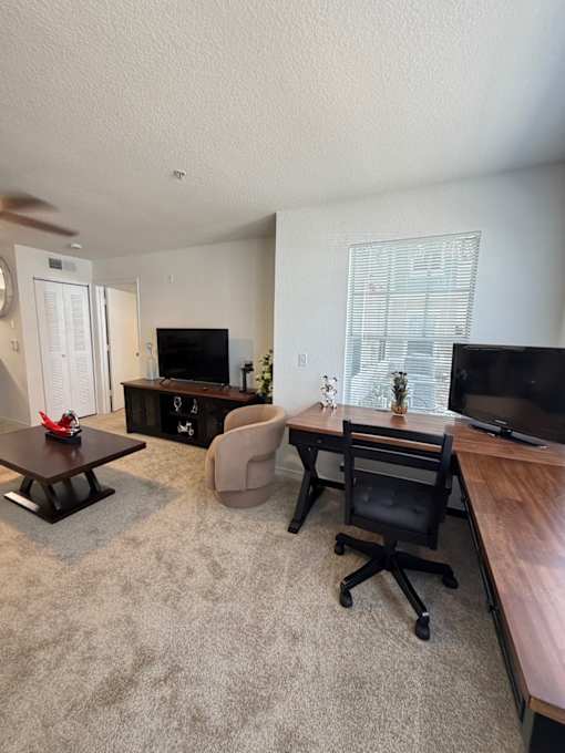 A small room with a TV, a plant, and a washing machine.