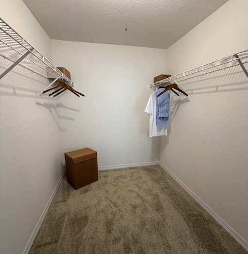 A small closet with a white wall and a carpeted floor.