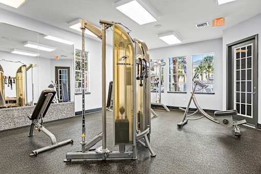 A gym with a variety of equipment including a treadmill, a stationary bike, and a rowing machine.