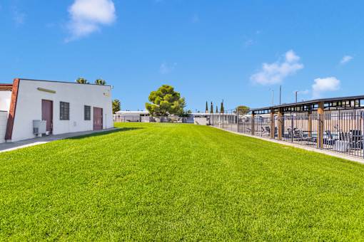 A large grassy field with a building and a tree in the background.
