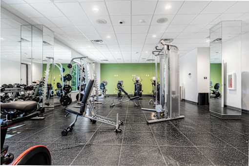 A gym with a variety of equipment including a rowing machine, a bench press, and a squat rack.