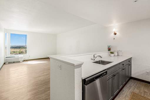 A kitchen with a dishwasher and sink.