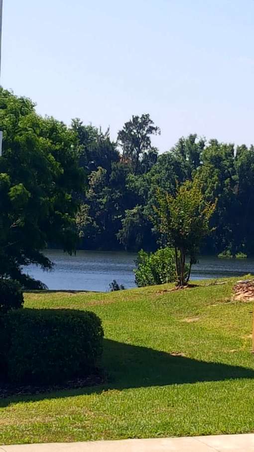 Lake views at Arbours at Silver Lake, Florida, 34788