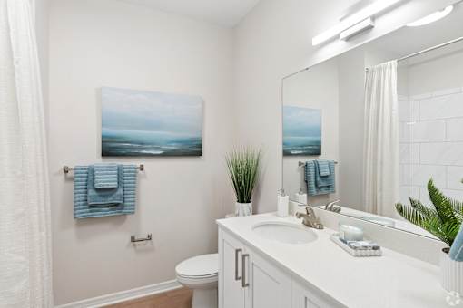 A bathroom with a white counter, a white toilet, a sink, a mirror, a potted plant, and a painting hanging on the wall.
