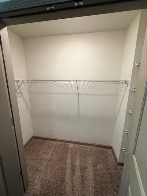A walk-in closet with a carpeted floor and white walls.