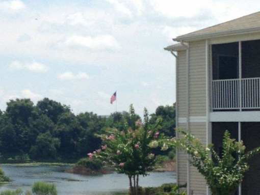 Lake View at Arbours at Silver Lake, Leesburg, 34788