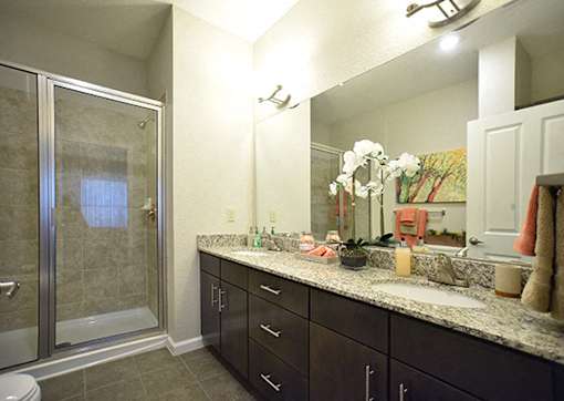 Bathroom at Arbours at Crown Point, Ocoee