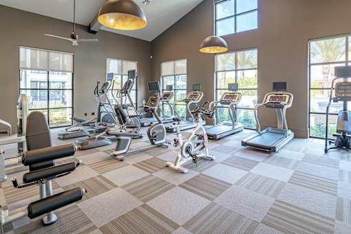 Fitness Center Access at Alys Crossing Apartments, Cypress, Texas
