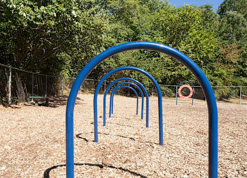 Dog Run at Chatham Hill, Chatham, NJ