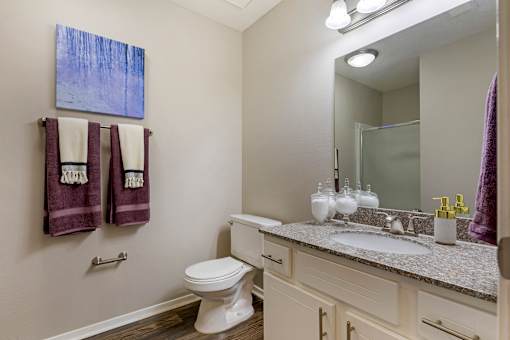 Bathroom at North Creek, Southaven, MS, 38671