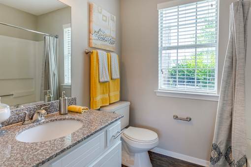Bathroom With Bathtub at North Creek, Southaven, MS, 38671