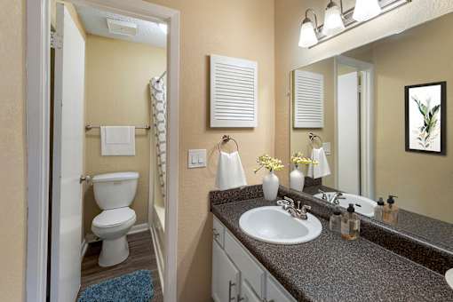 Luxurious Bathroom at Riverchase Landing, Alabama, 35244