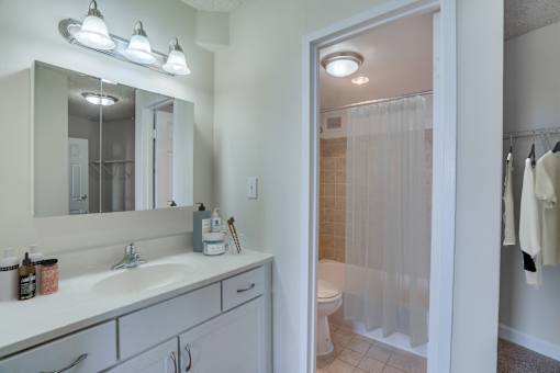 Bathroom at Seminary Towers, Virginia
