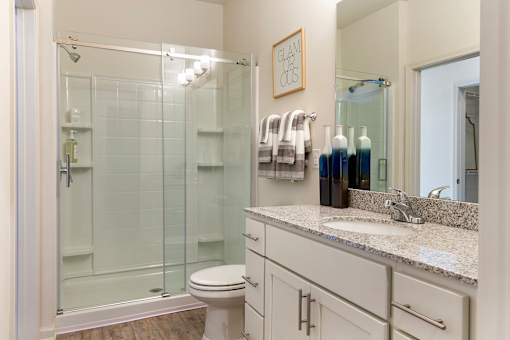 Bathroom at Skyland Exchange Apartments, Asheville, North Carolina