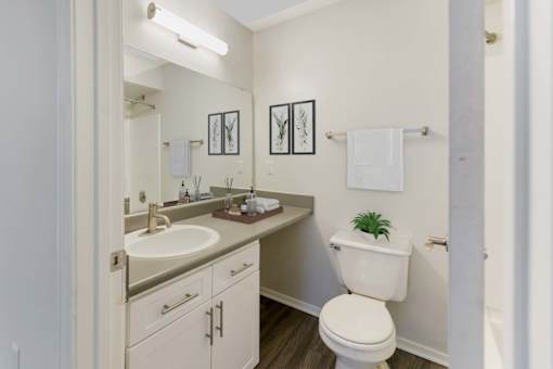 Bathroom at Southaven Pointe Apartments, Mississippi