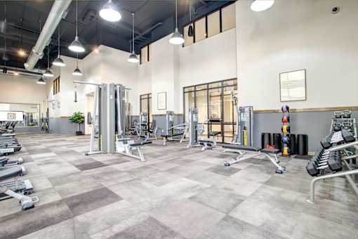 Fitness Center With Modern Equipment at The Cosmopolitan, Tulsa, OK, Oklahoma , 74119