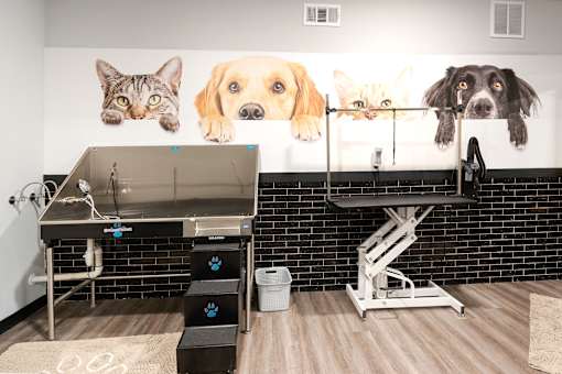 Pet Therapy at The Cosmopolitan, Tulsa, OK, 74119