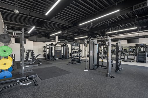 a view of the fitness center with weights and cardio equipment in a gym
