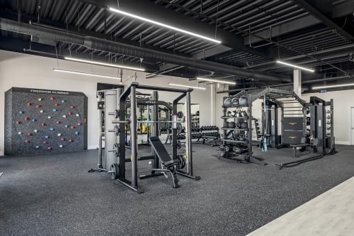 a gym with weights machines and a rock wall