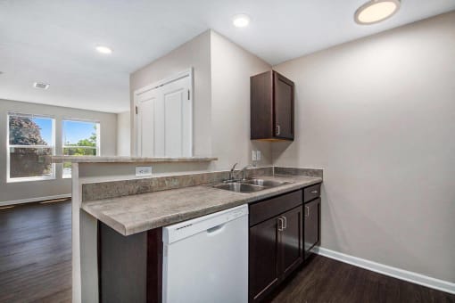 a kitchen with a sink and a dishwasher and a window