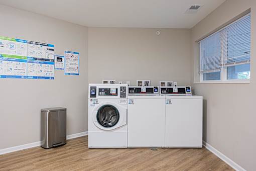 A wall of washing machines in a laundry room.
