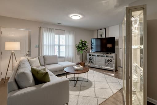 A living room with a grey couch, a coffee table, and a television.