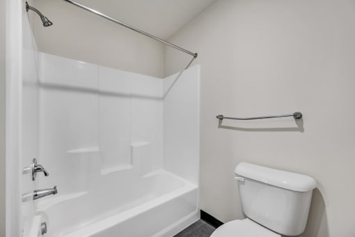 a bathroom with a bathtub and a toilet